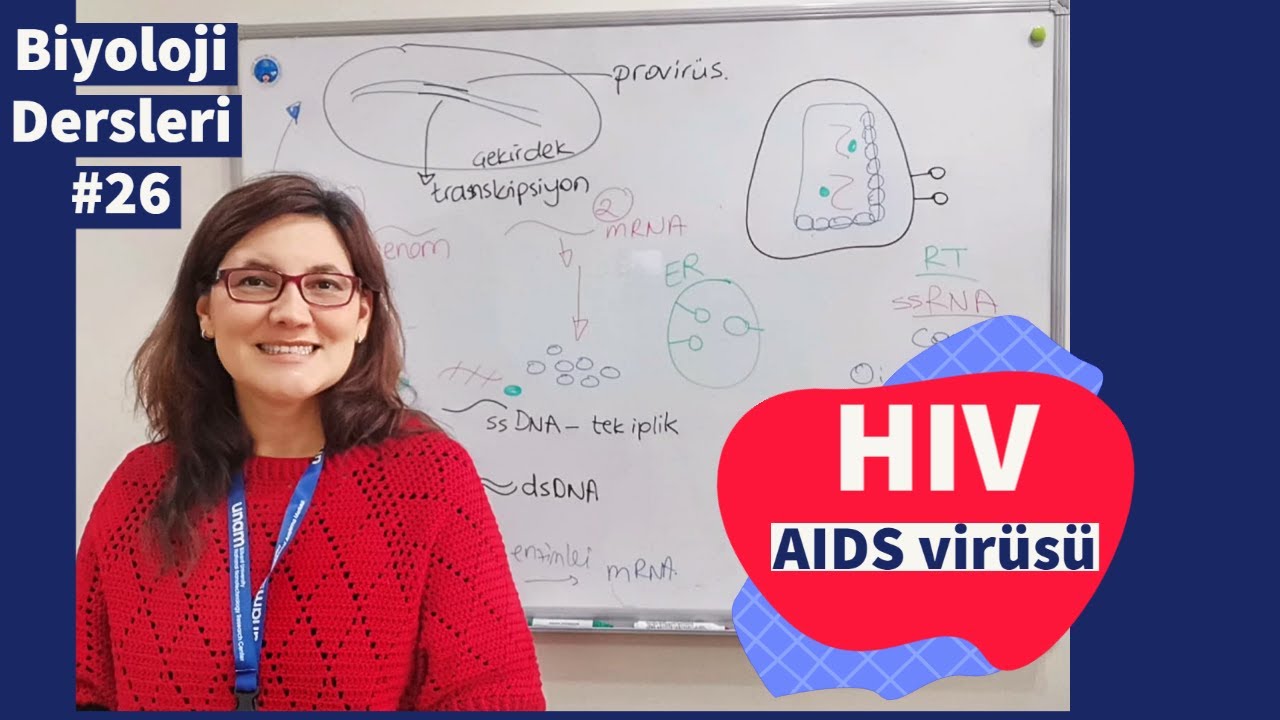 Biyoloji dersleri #26 | HIV | AIDS virüsü | retrovirüs