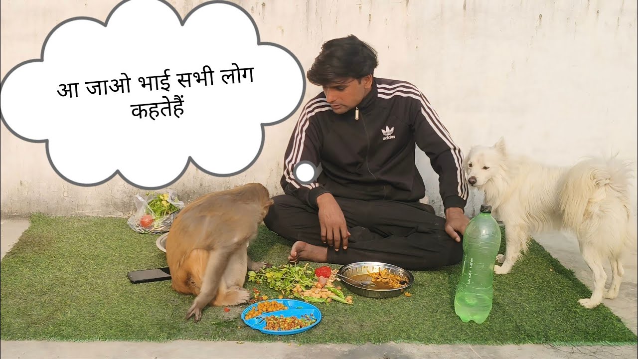 गोल्डन क्वीन आकाश का नाश्ता 🤗।। गोल्डन कॉइन क्या-क्याखाती है@Queenrbl12345 