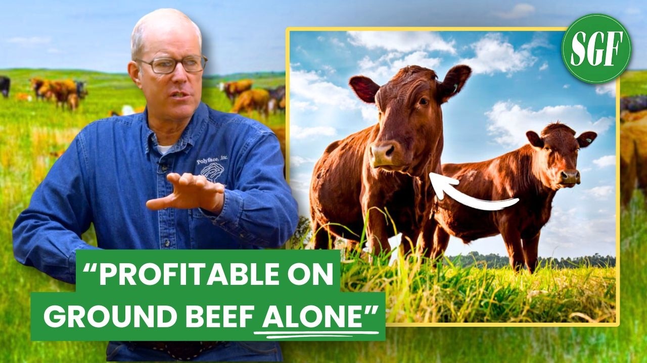 Farm VALUE-ADDING Masterclass with World Farming Expert Joel Salatin
