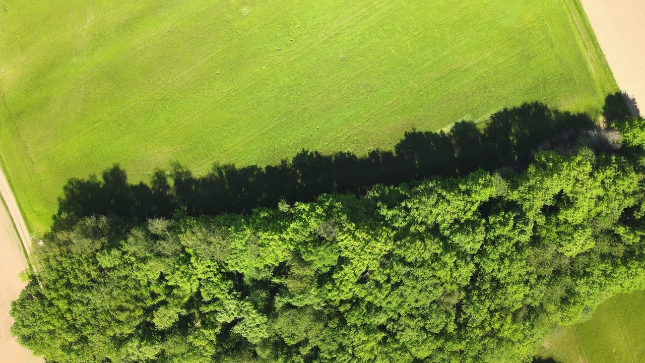 Regnitzauen s&uuml;dlich von Bamberg nahe Hirschaid