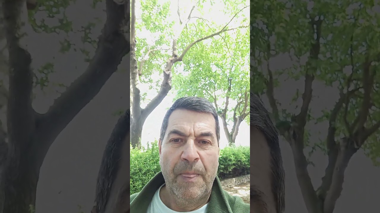Calitati si lipsuri