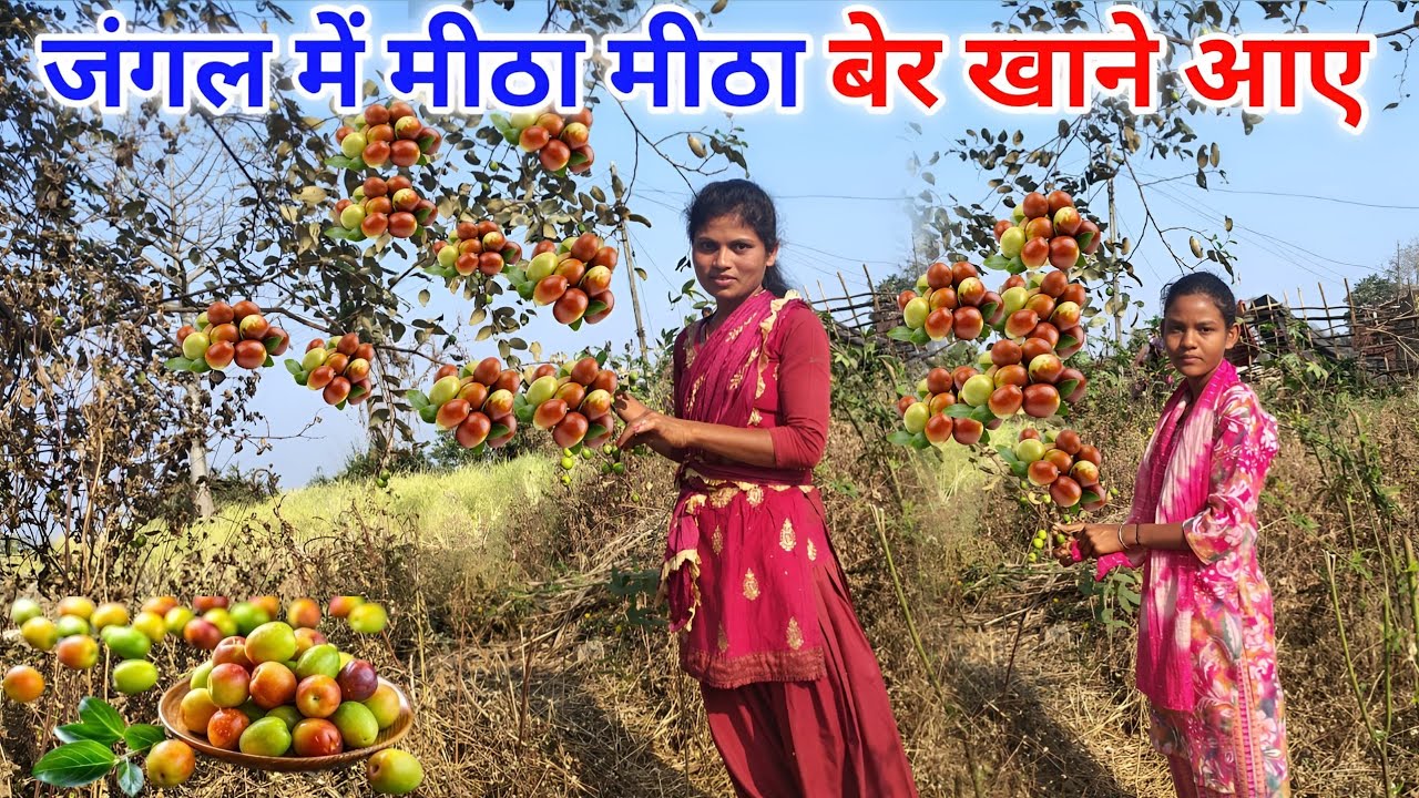 जंगल में मीठा मीठा बेर खाने आए || Come Forest To Eat Tasty Jujube  Fruit |Munita Mahto Vlog |