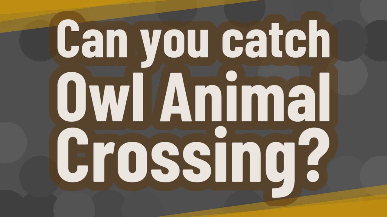 Can you catch Owl Animal Crossing?