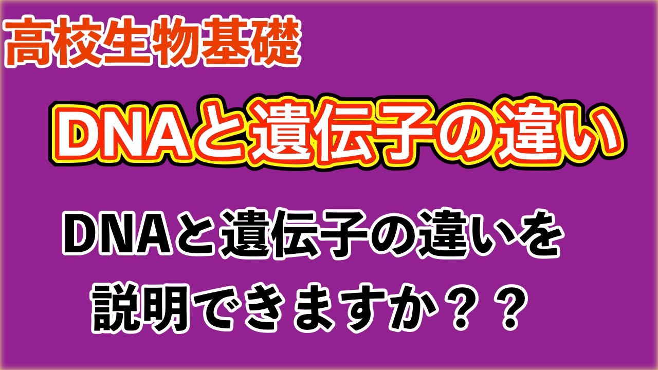 高校生物基礎「DNAと遺伝子の違い」