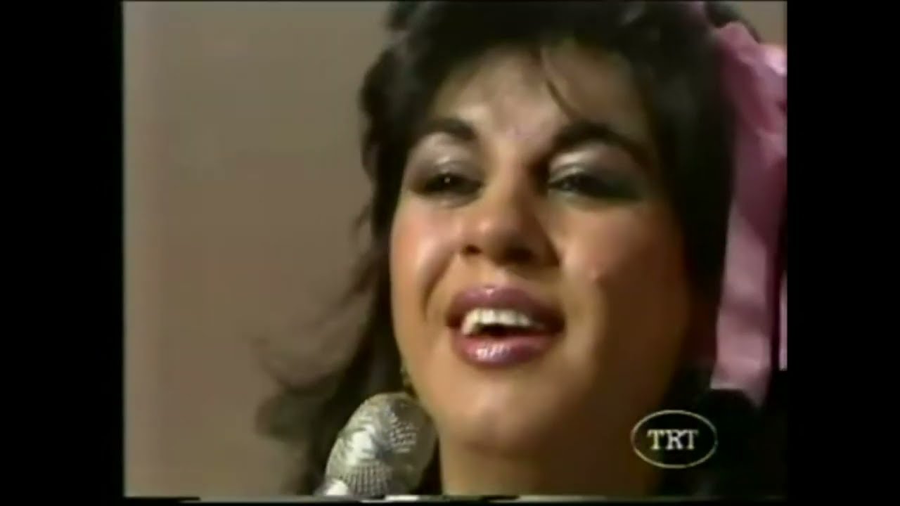 Hülya Süer - Yoğurt Koydum Dolaba