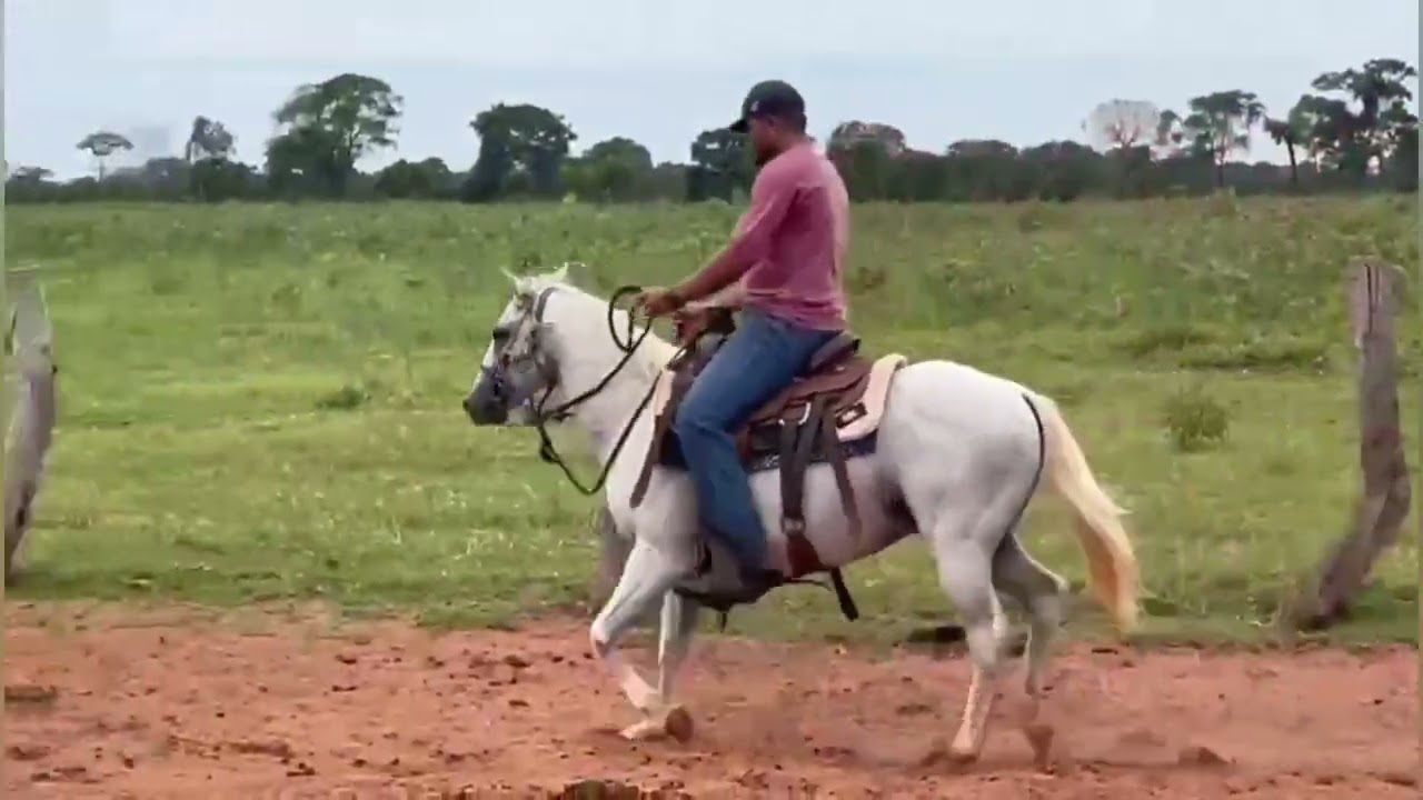 31 - BILLY DA FAZENDA BEIRA RIO