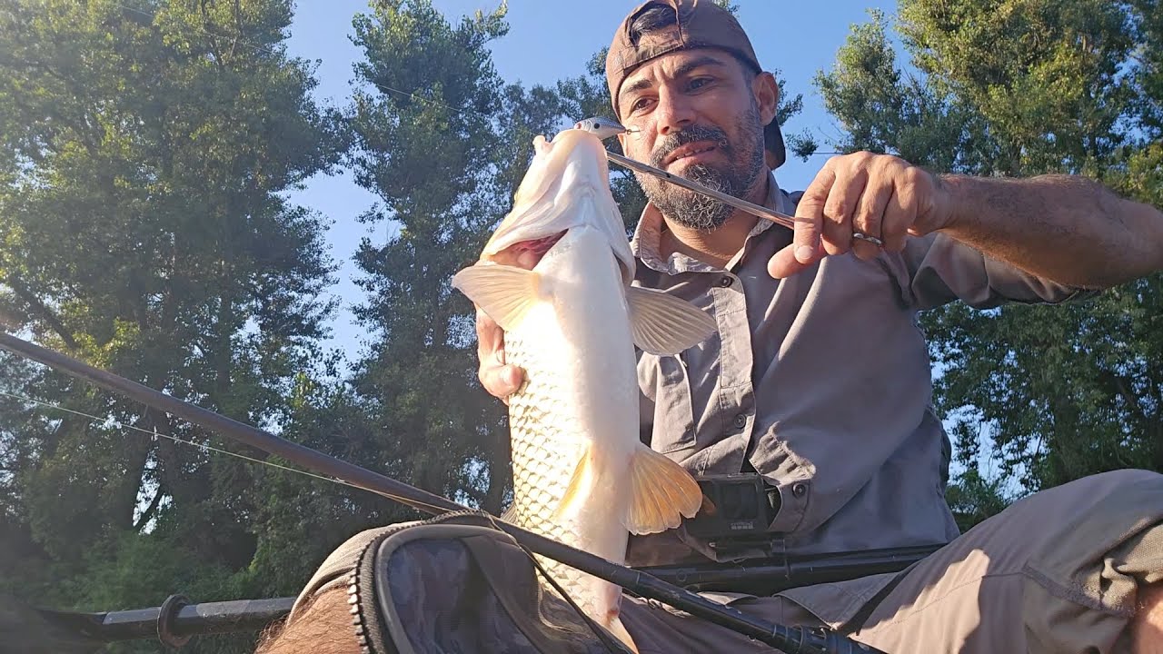 Cea mai tare partida la clean. Am prins cleni mulți și mari la spinning din caiac !