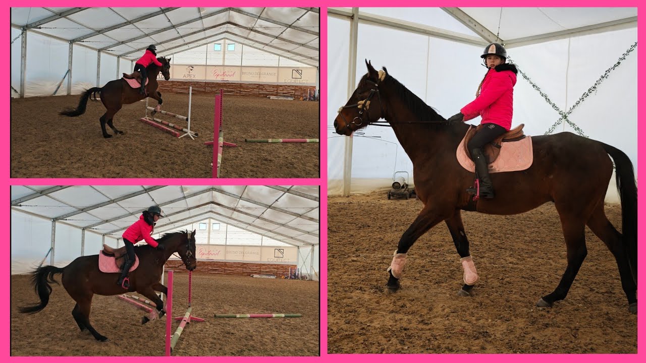 Trening skokowy z Belmondo bryka 😱 | Jumping training with Belmondo