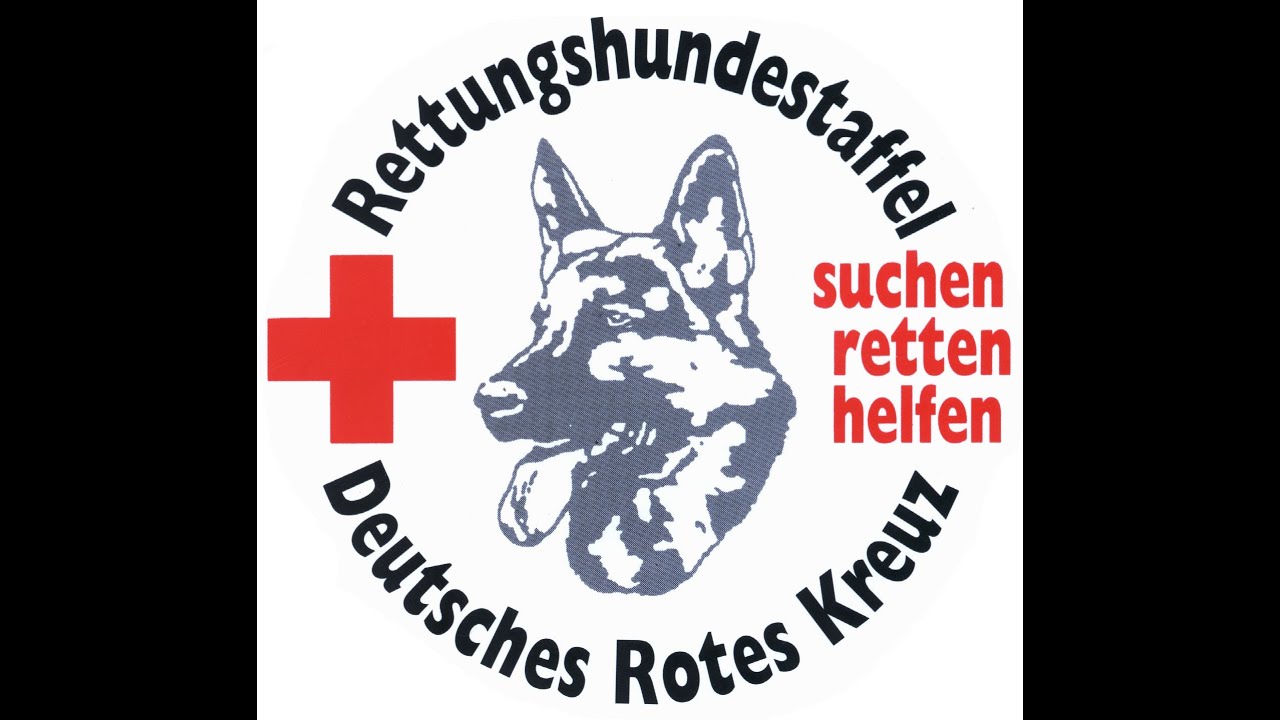 Eignungstest für Rettungshunde - gesamte Prüfung