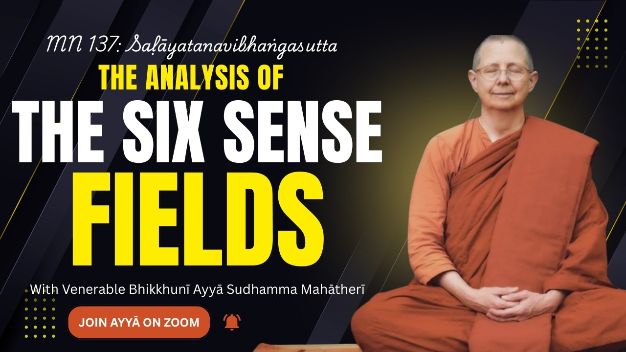 MN 137: The Analysis of the Six Sense Fields Theravada Dhamma Talk