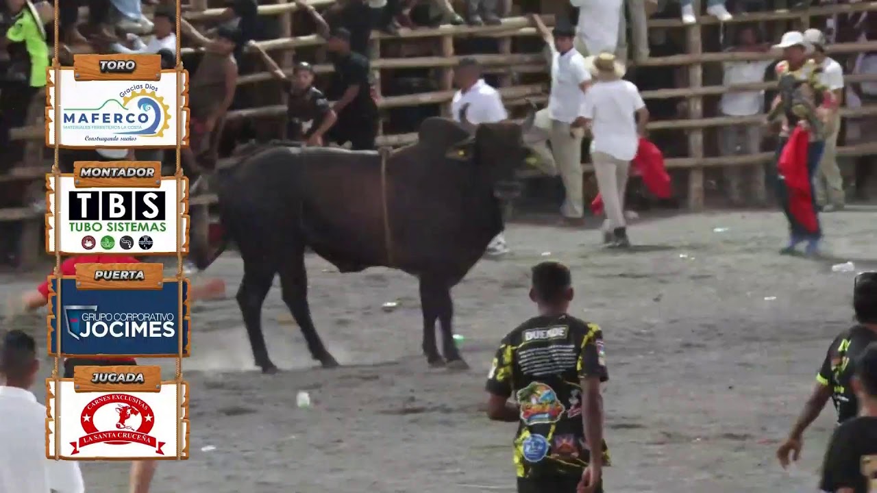 MontaderasTrivisión ¡Fiestas Cívicas Liberia 2026!