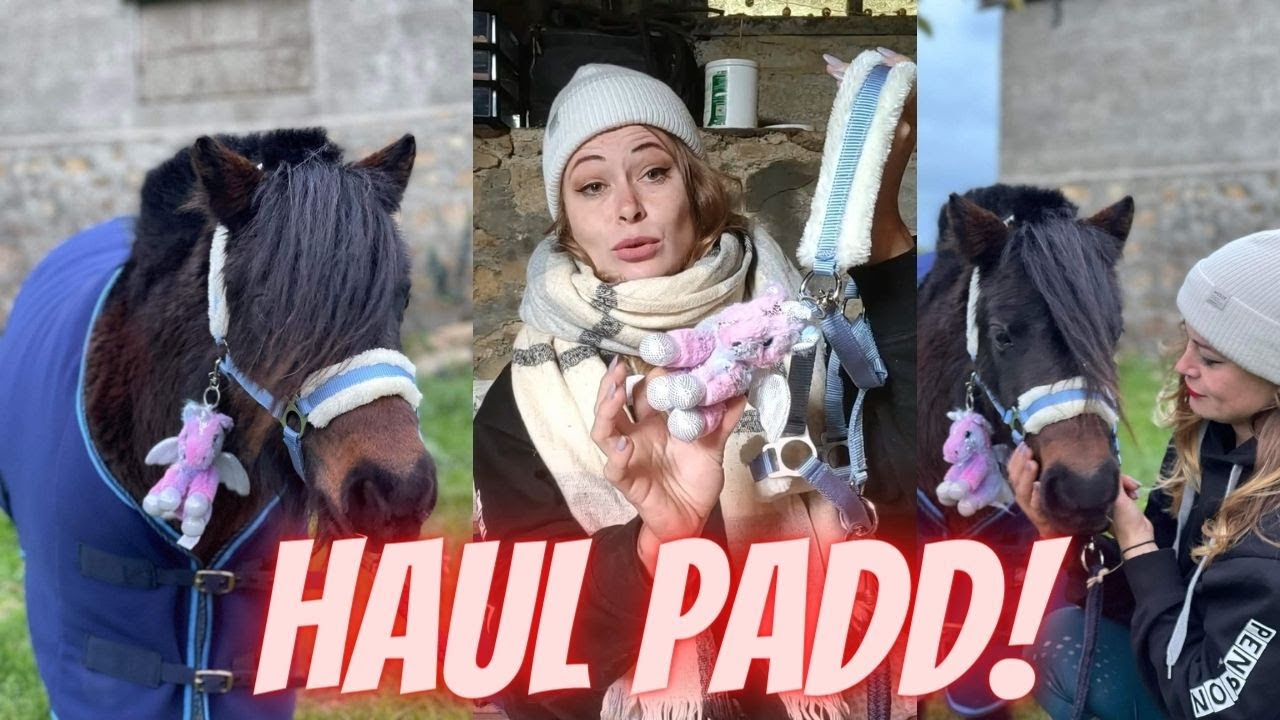 MEGA HAUL À PADD !