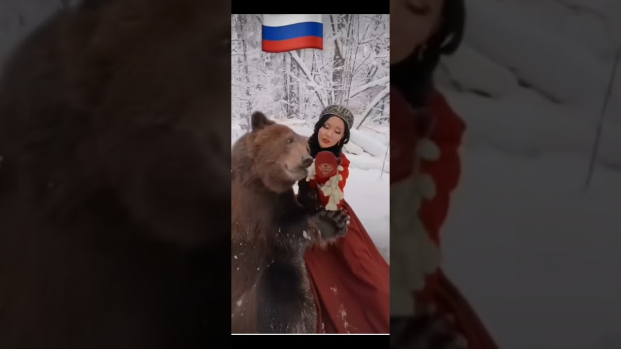 природа нам как дом родной и зверь становится ручной