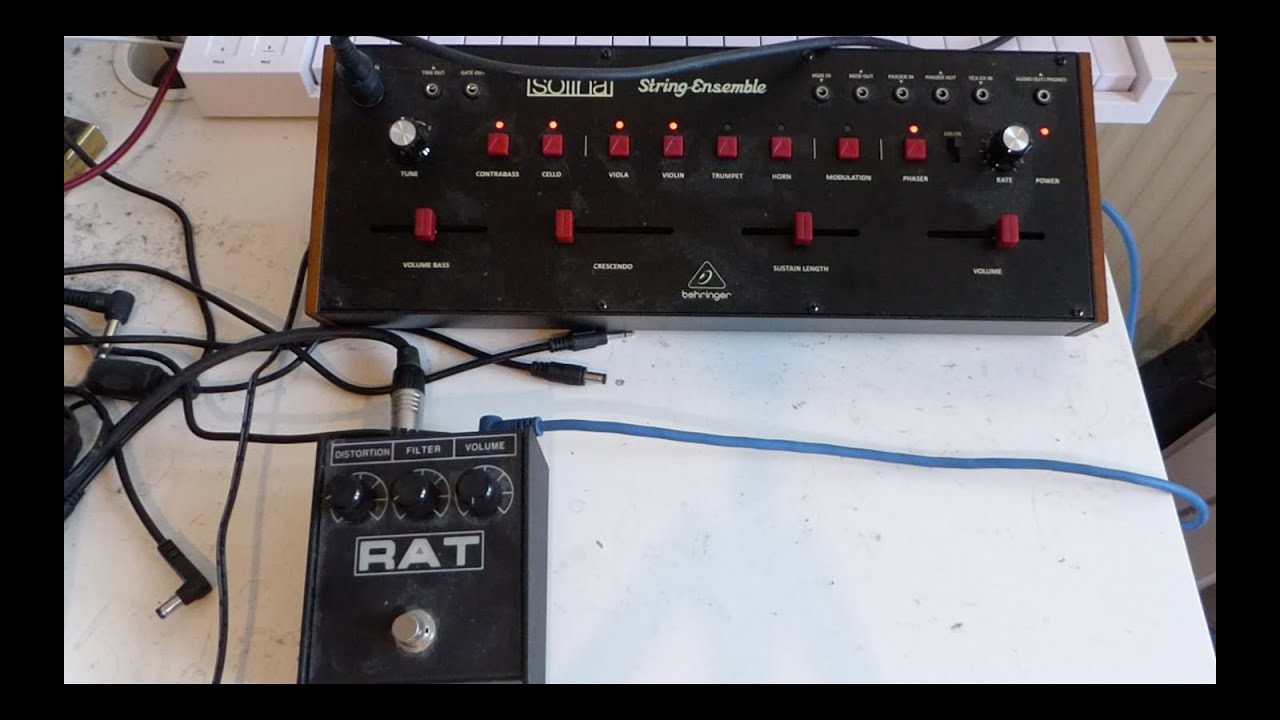 Behringer Solina & ProCo Rat