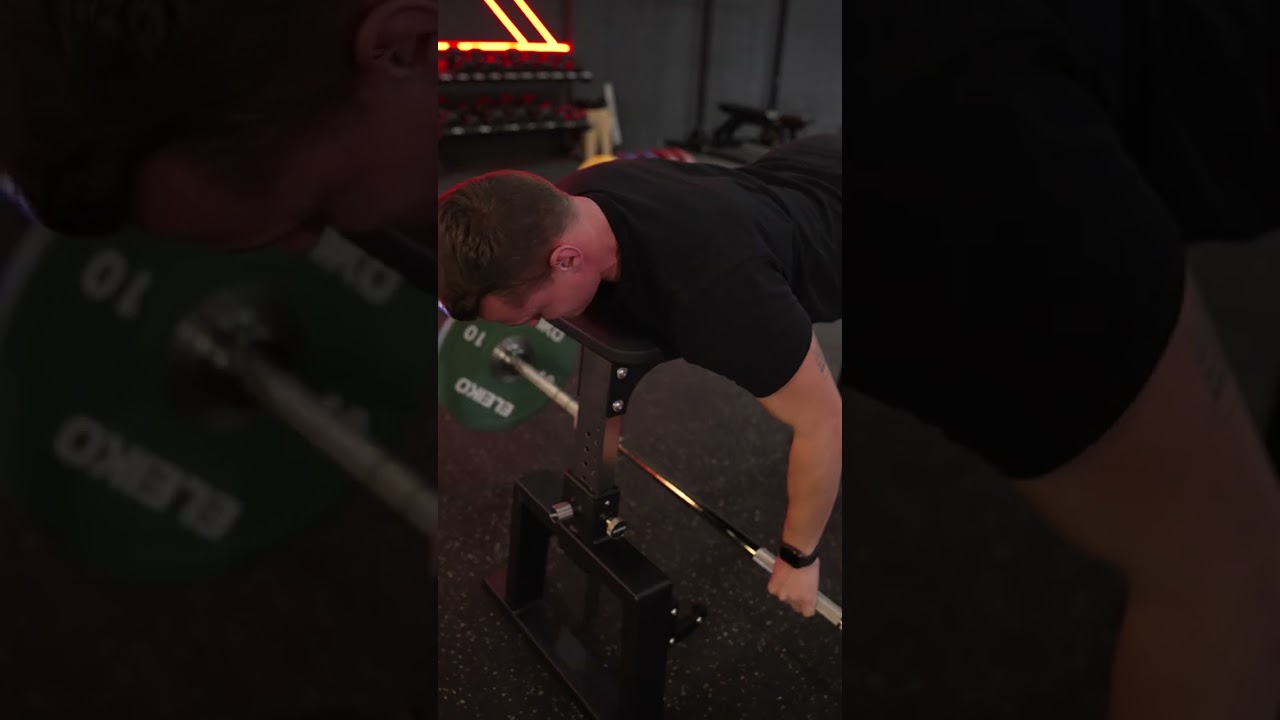 Zona oficial de competici&oacute; Powerlifting ELEIKO