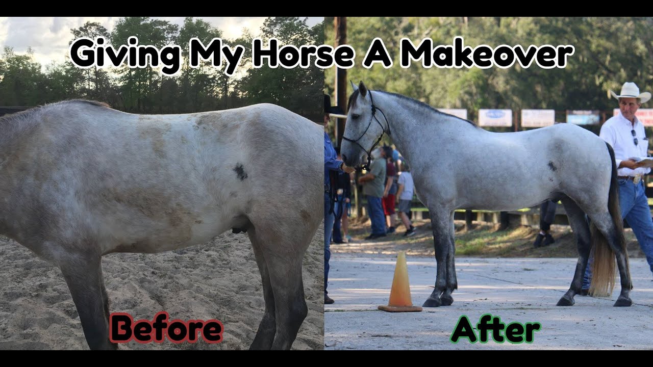 Horse Makeover?! // Bathing, Braiding, Clipping