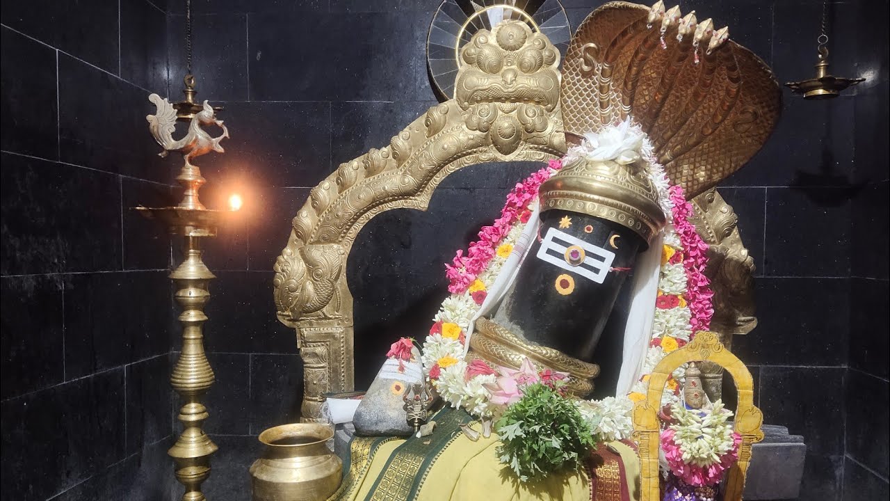 அருள்மிகு சுந்தர மகாலிங்க சுவாமி திருக்கோயில் பிரதோஷ ஆராதனை