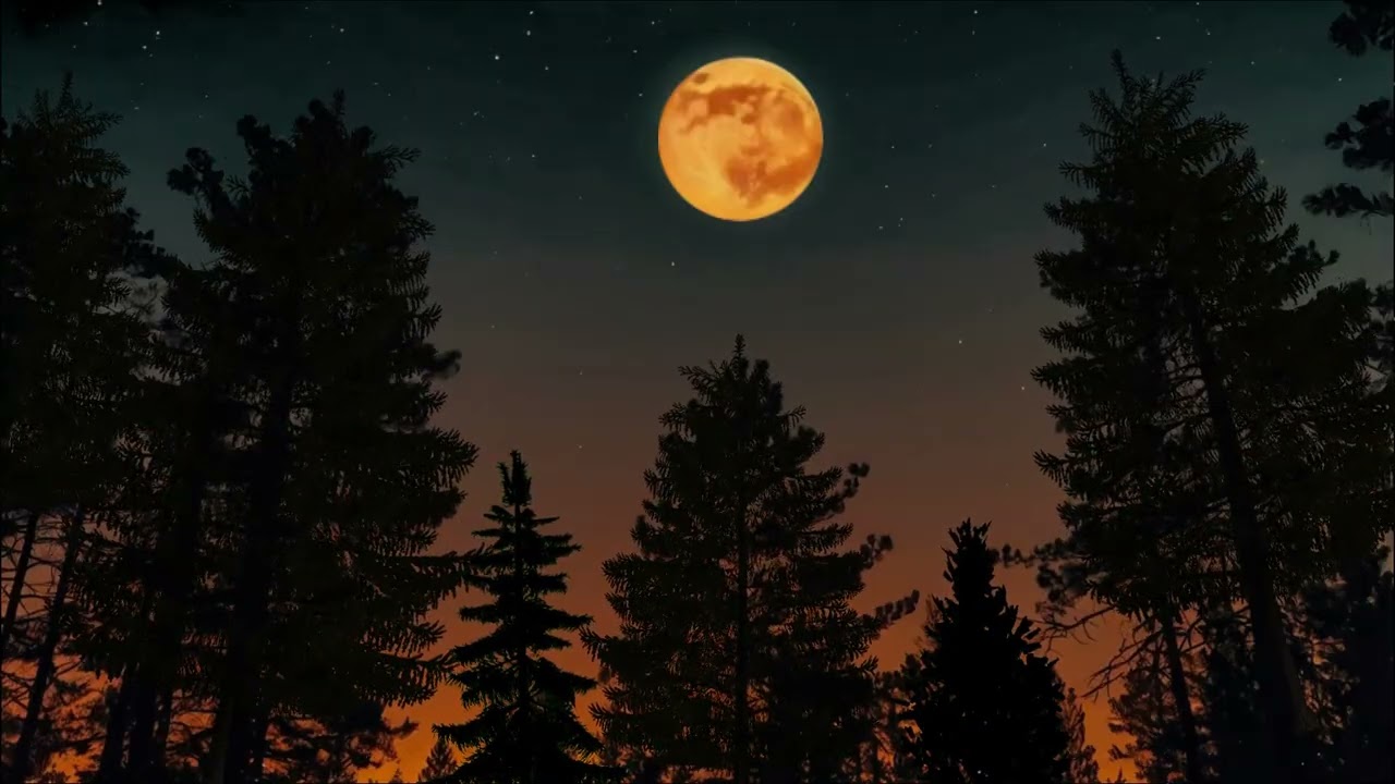 Twilight Forest Dusk Ambience ASMR Night Ambience🌲Cricket Sound and Chirping for Sleep Relaxation 🦗