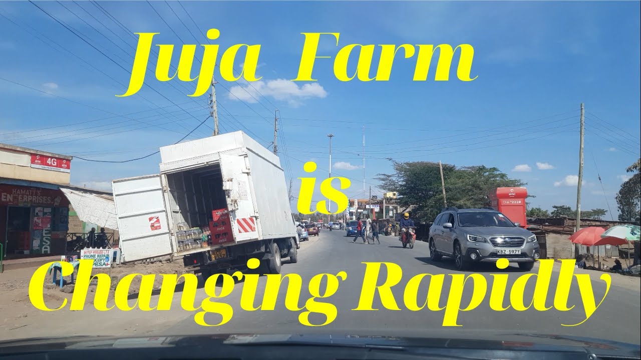 I AM SHOCKED TO SEE THIS IN JUJA FARM