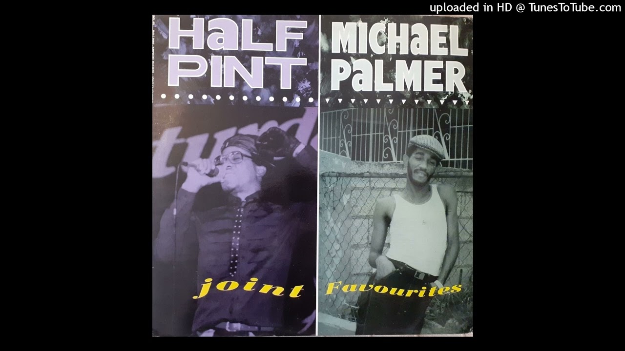 MICHAEL PALMER - Saw You At The Dance