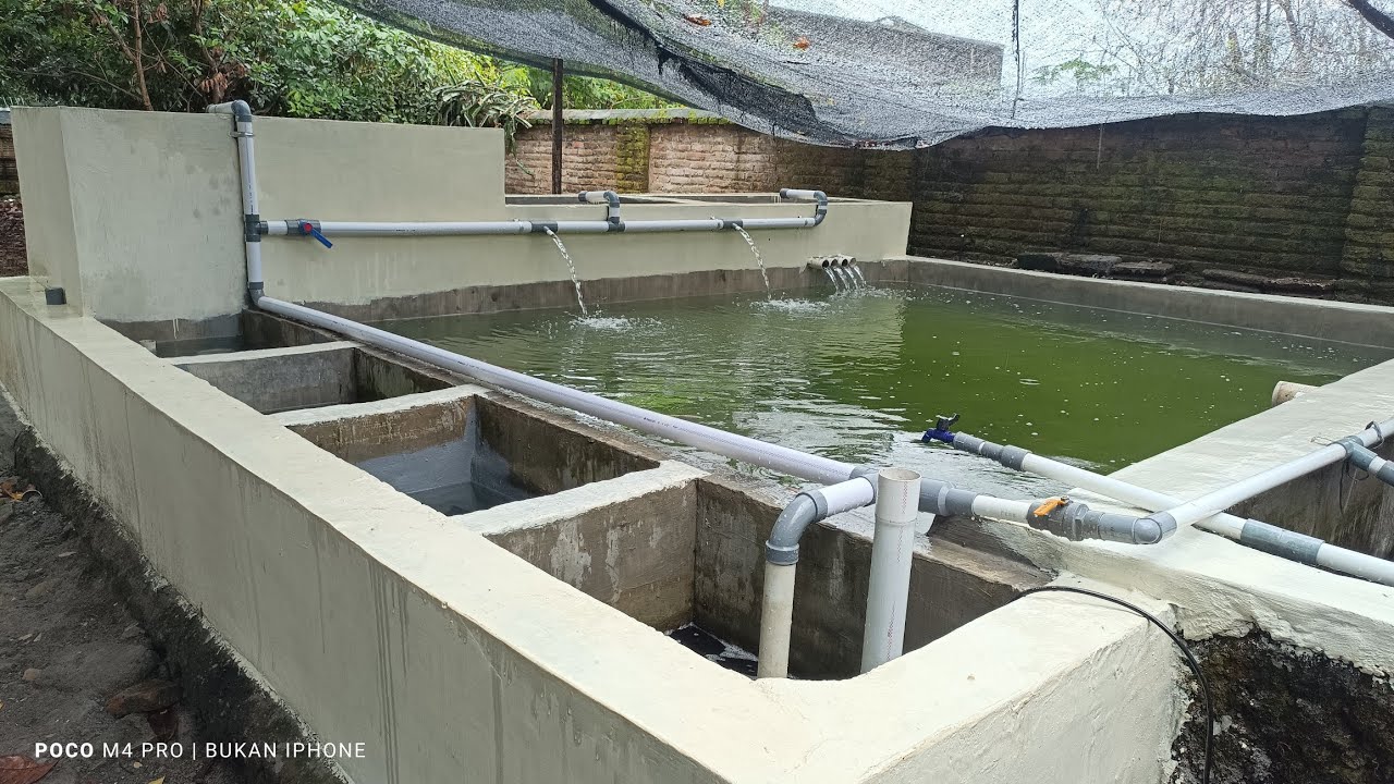 FINISH!!!!!!! Renov Kolam Ikan Nila Sistem Ras Sekala Rumahan...