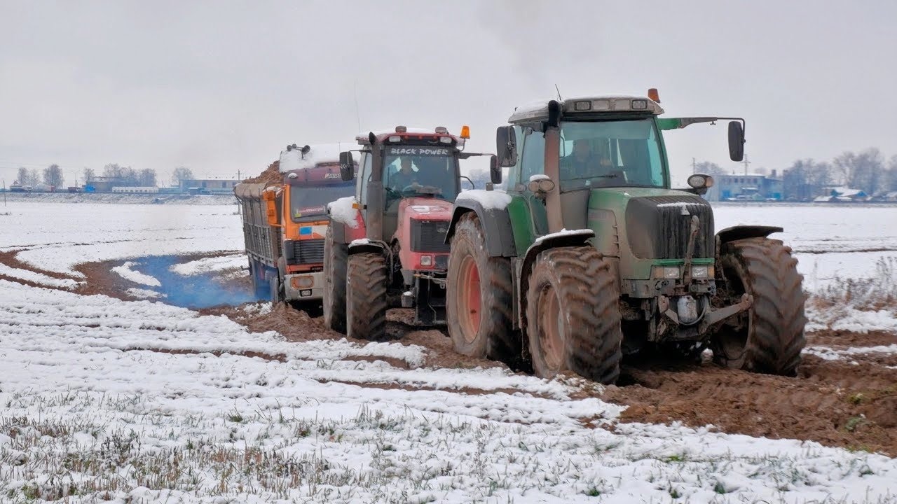 Погрузка и вывоз свеклы / FRANZ KLEINE Cleanliner Classic, БЕЛАРУС 3522, 3022, FENDT 930 и др. /