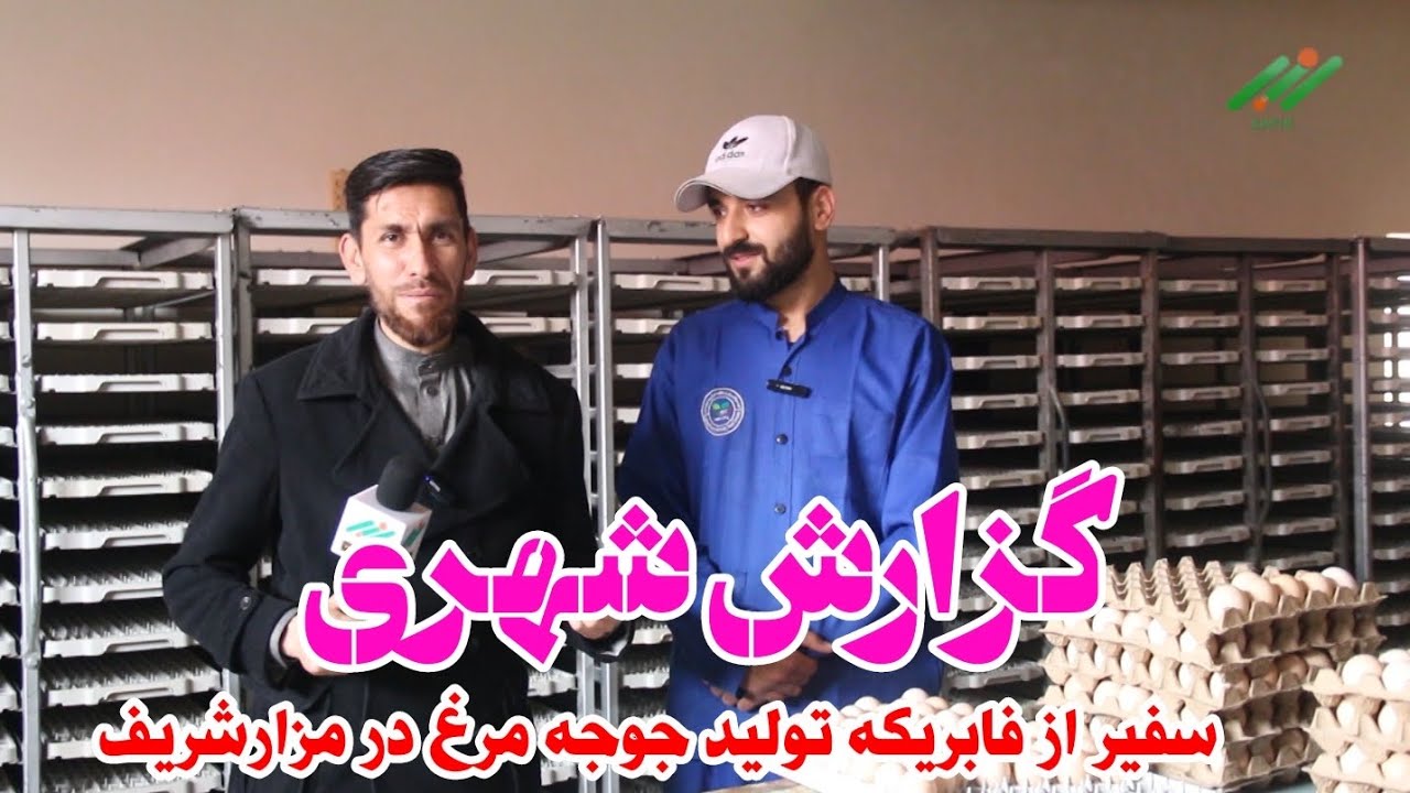 گزارش شهری سفیر: بازدید از فابریکه تولید جوجه مرغ در مزارشریف