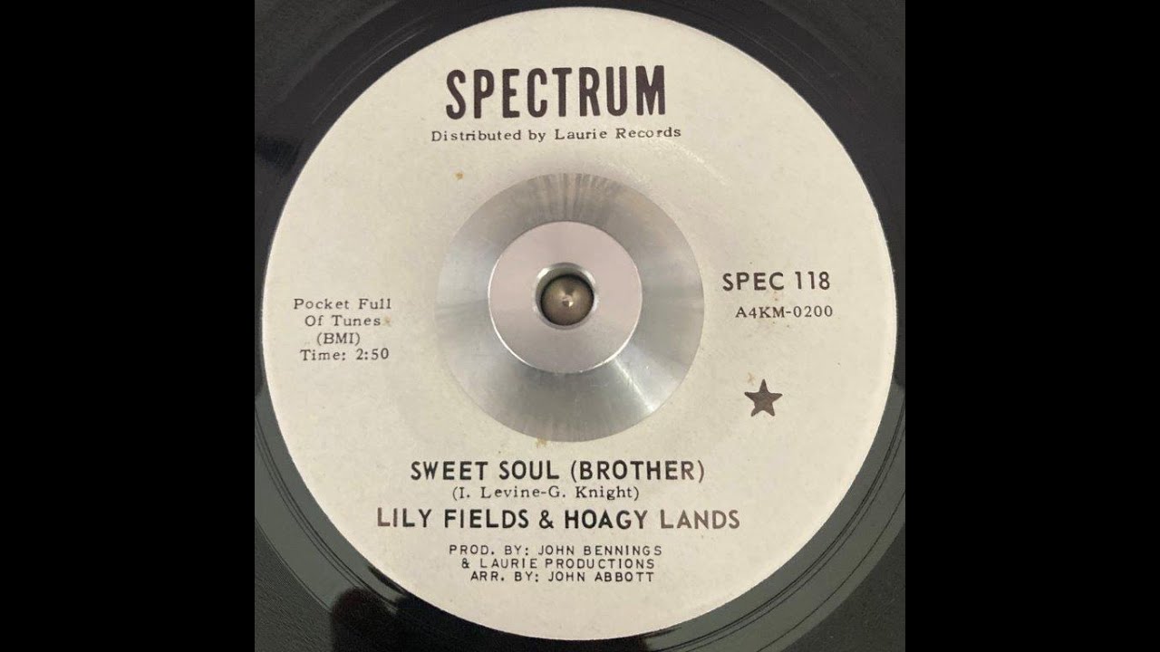 Lily Fields & Hoagy Lands   Sweet Soul (Brother)