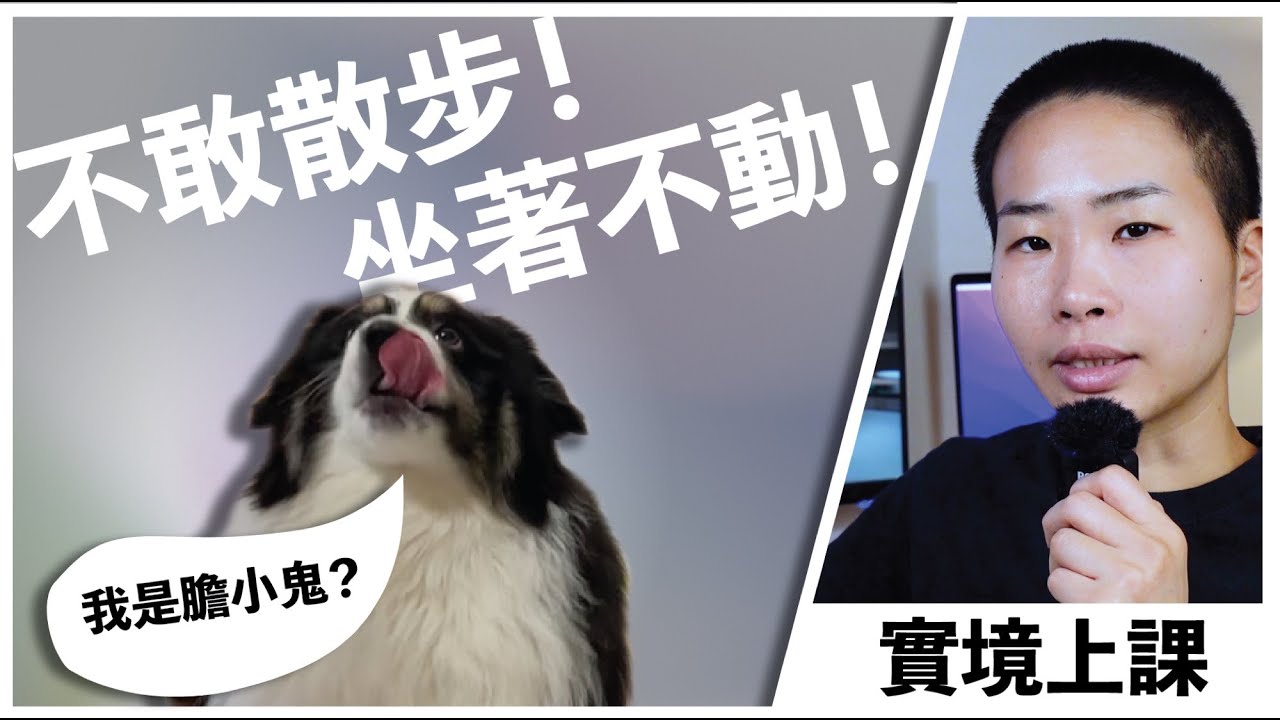 鬆繩隨行 X 實境上課｜膽小狗狗不敢出門 出了門又馬上想回家! 怎麼辦?! 如何幫狗狗準備冷靜的出門心態?