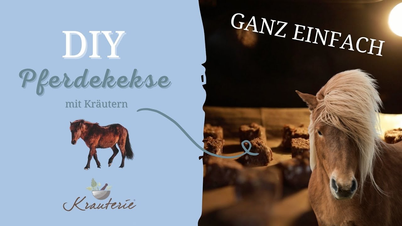DIY Leckerlis f&uuml;r Pferde | Pferdekuchen selber machen mit Kr&auml;utern