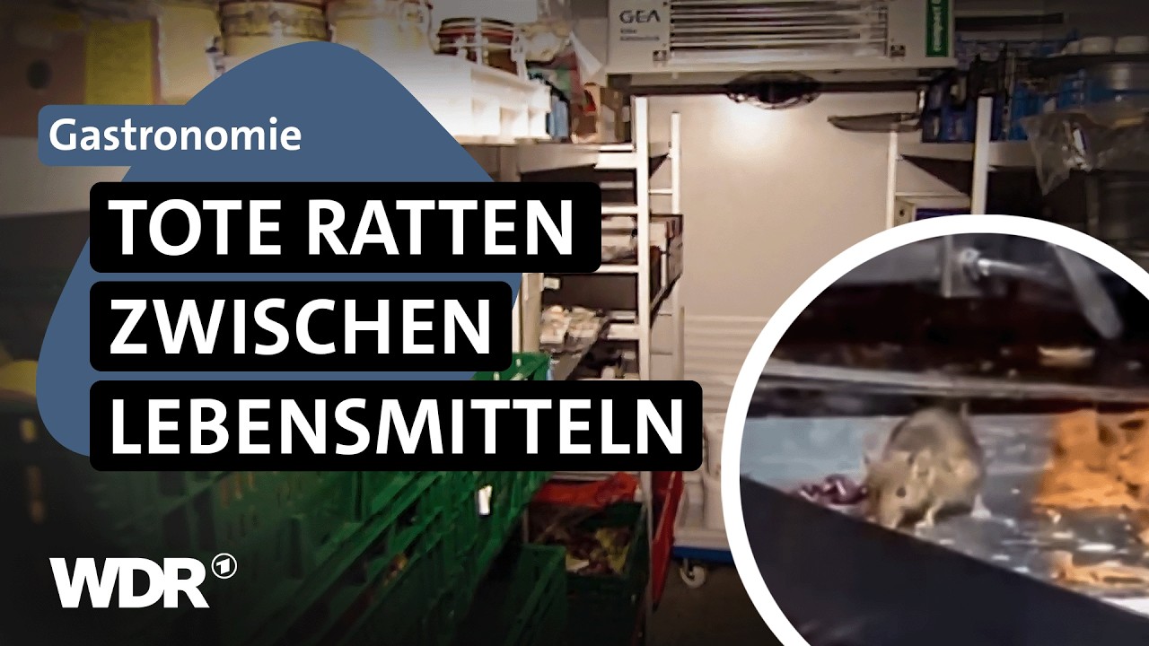 Salmonellen im Essen: Warum Beh&ouml;rden Restaurants trotz krasser M&auml;ngel offenlassen | Westpol | WDR