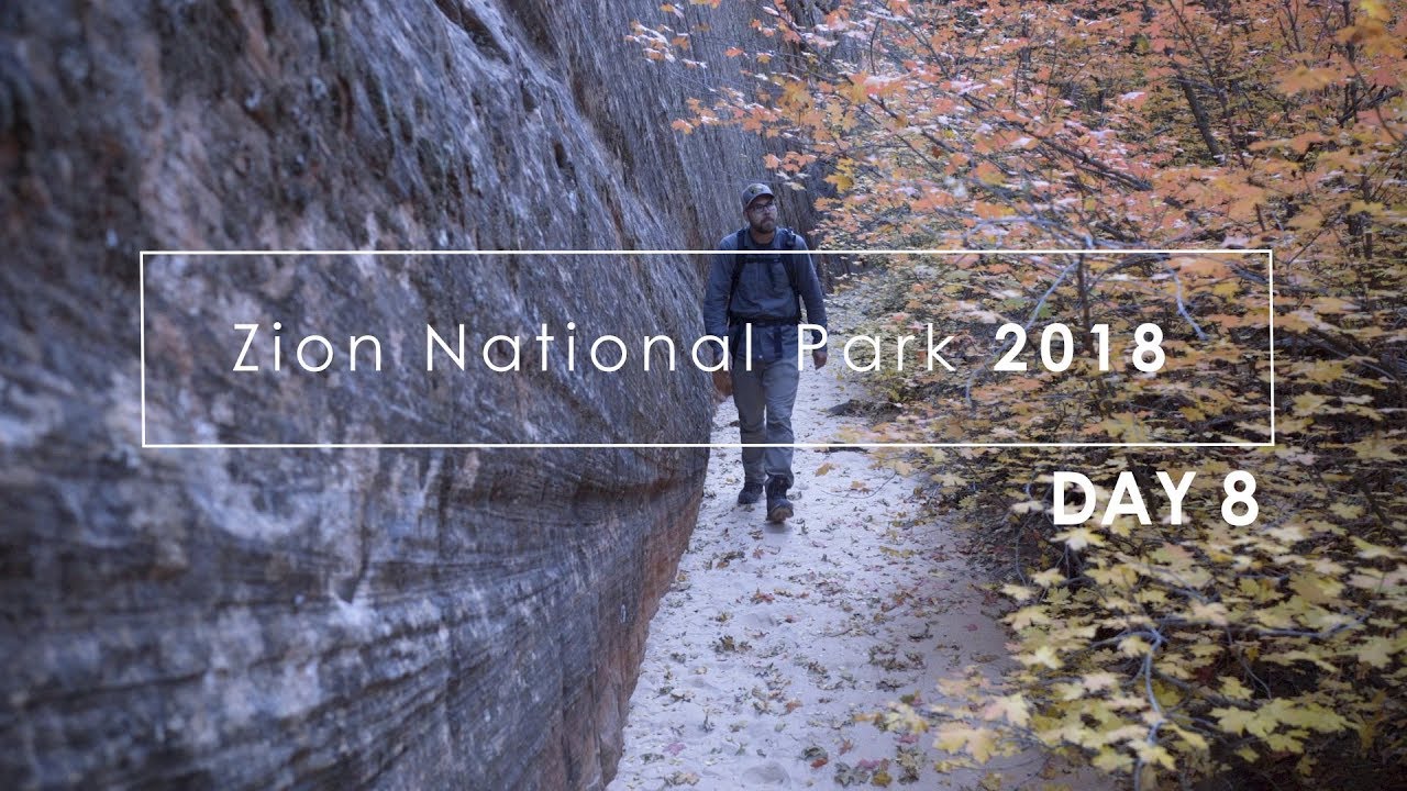 Zion Fall 2018: (Day 8) My Second to Last Day in Zion