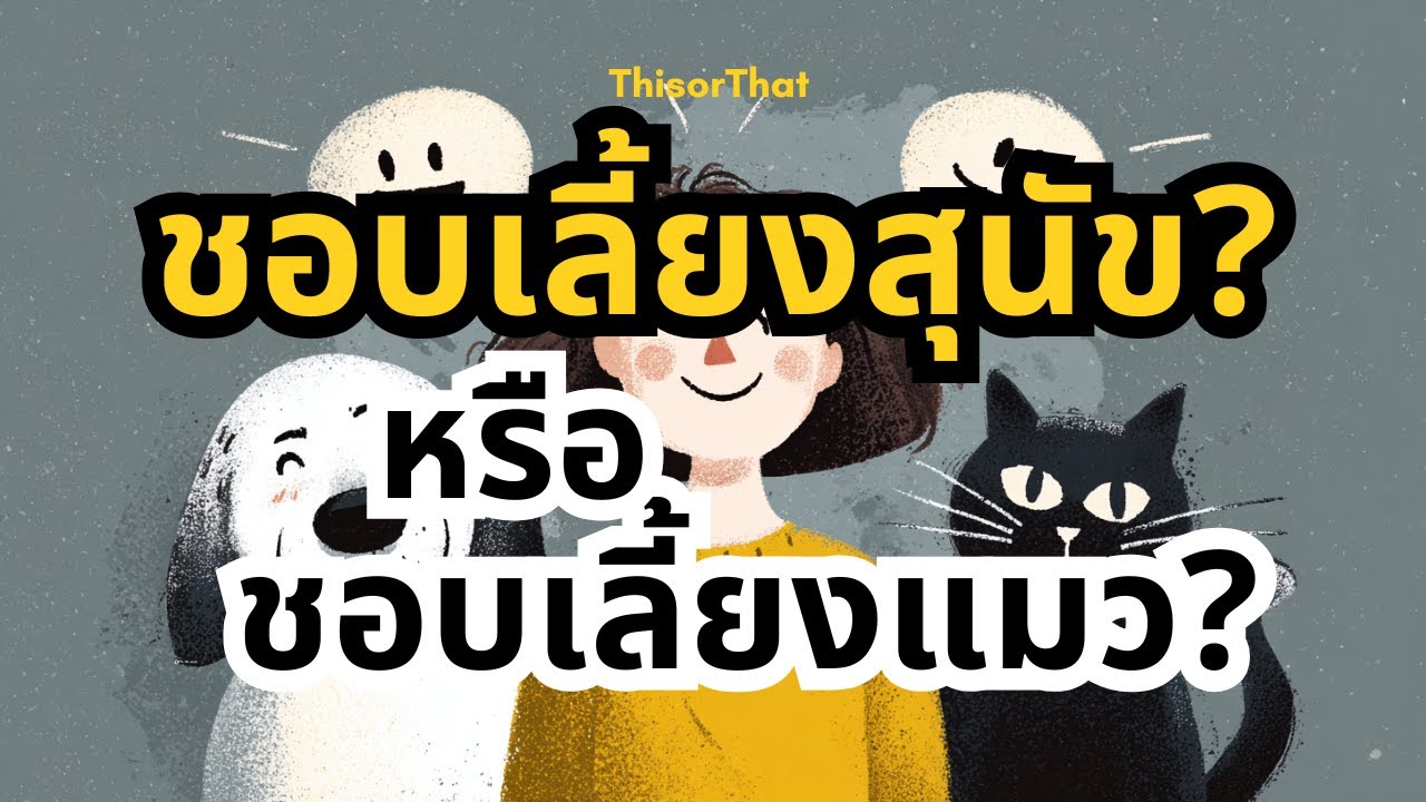 คนเลี้ยงหมา vs คนเลี้ยงแมว — คุณเป็นแบบไหน
