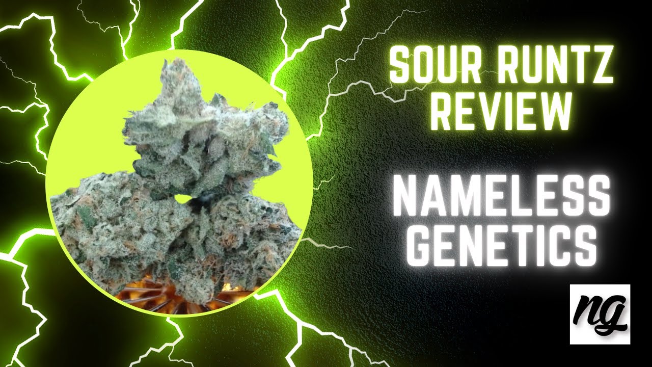 Does Sour Runtz Live Up to the Hype?