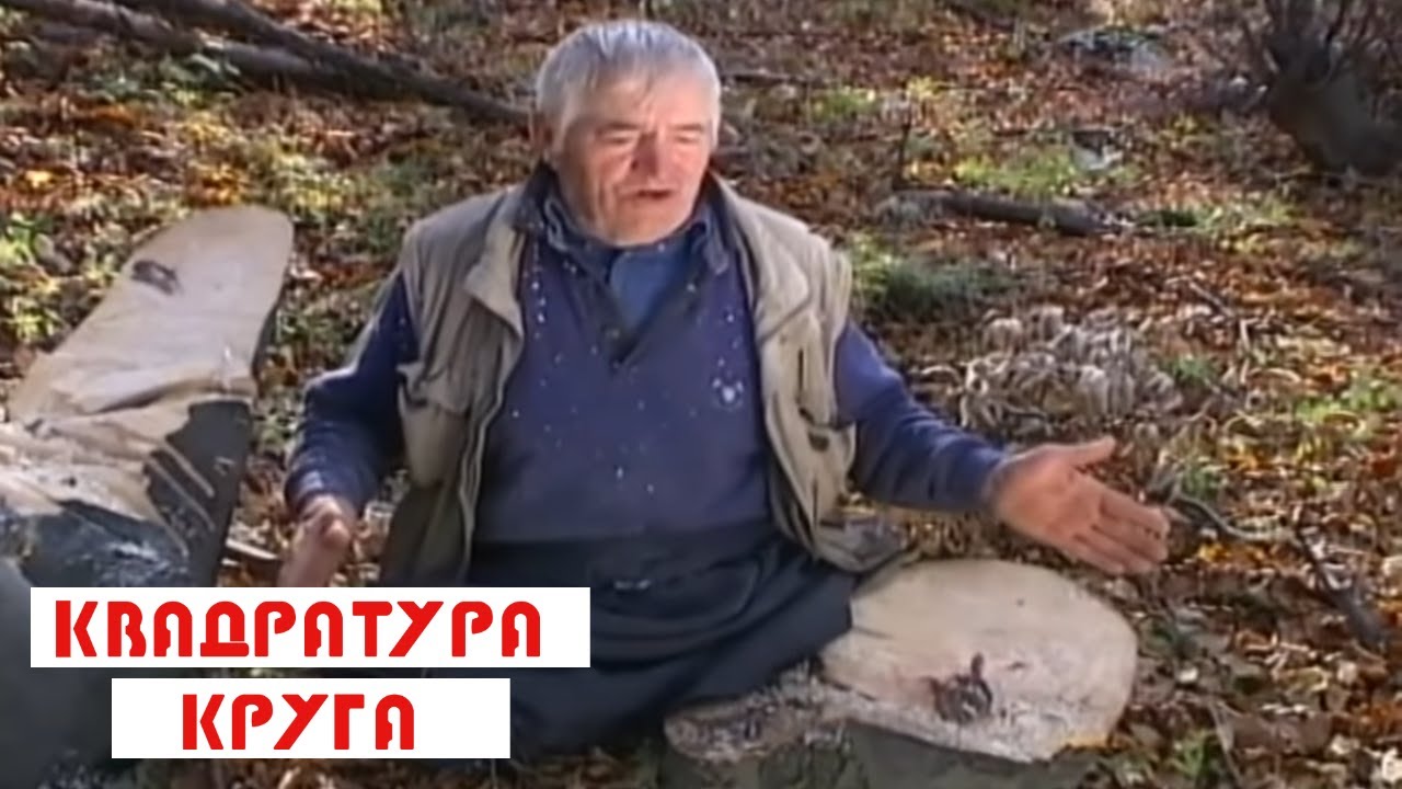 Kvadratura kruga: Kako sam pobedio paralizu
