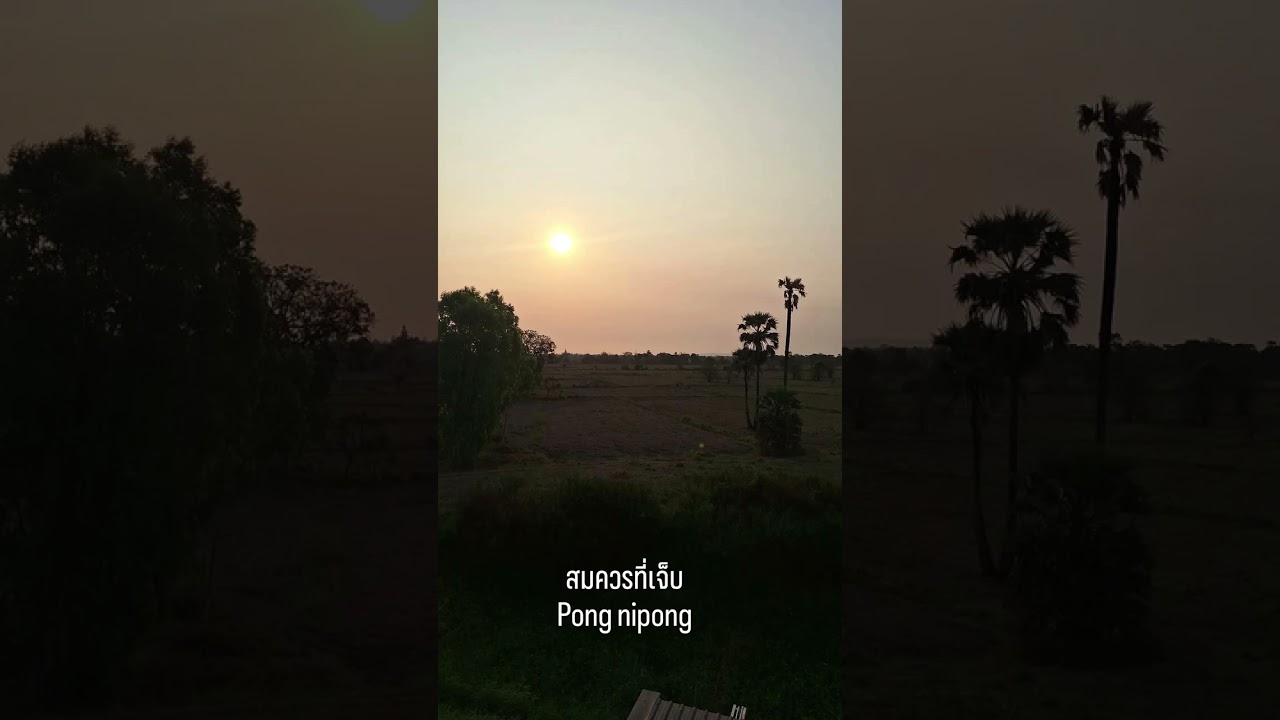 มิกซ์เพลงสมควรที่เจ็บ pong nipong