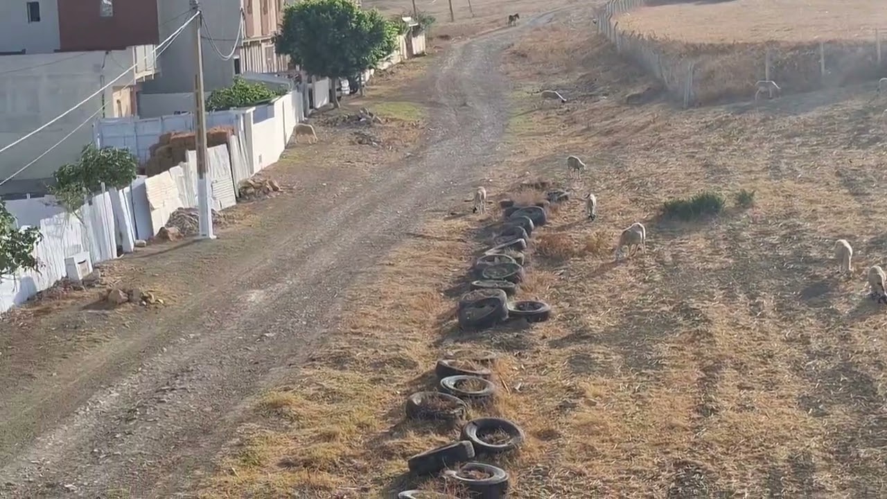 اليوم نتواجد بمدينة طنجة في منطقة إسمها الديموس و الجو رائع جدأً💯✌️😍