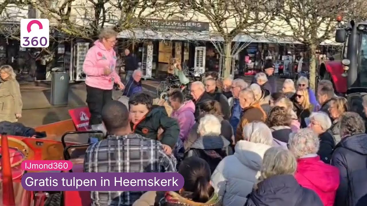Gratis tulpen in Heemskerk