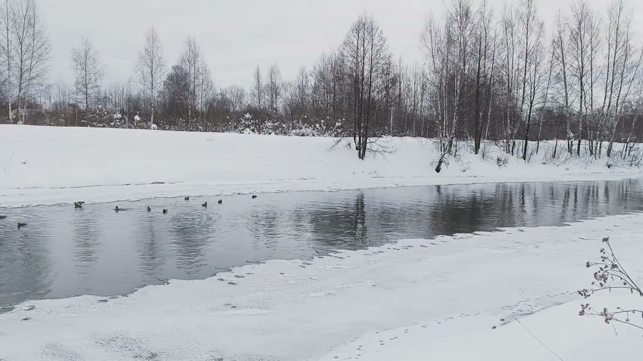 Река Уводь. ч.1. Февраль 2026