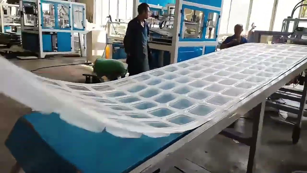 Takeout Clear PP Food Box Lunch Container Making Machine
