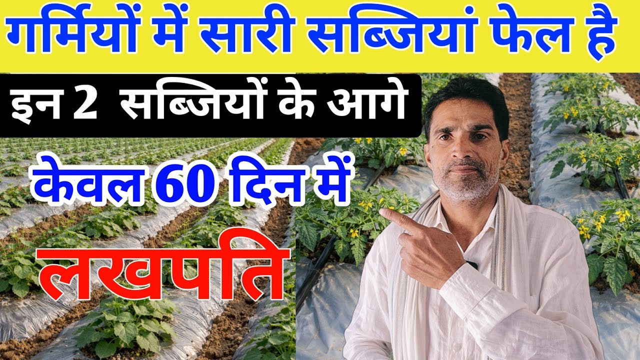 इन दो सब्जियों के आगे 💥🚀 गर्मियों में सारी सब्जियां फेल है! High profit vegetable |