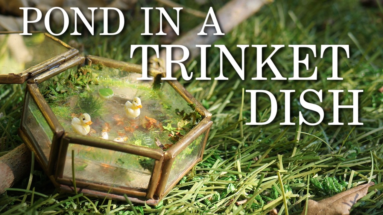 Transforming a Trinket Dish into a Miniature Pond DIY Recycling Project