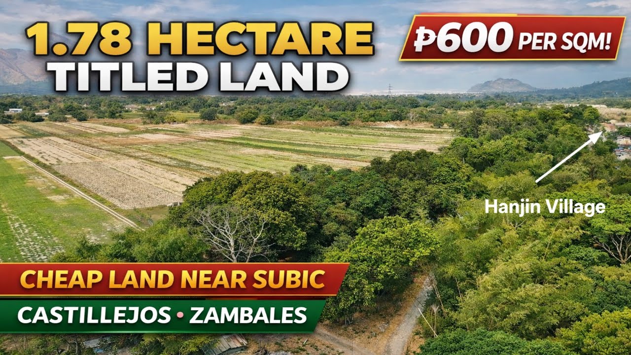 🌿 INVESTMENT OPPORTUNITY – RAW LAND IN CASTILLEJOS, ZAMBALES