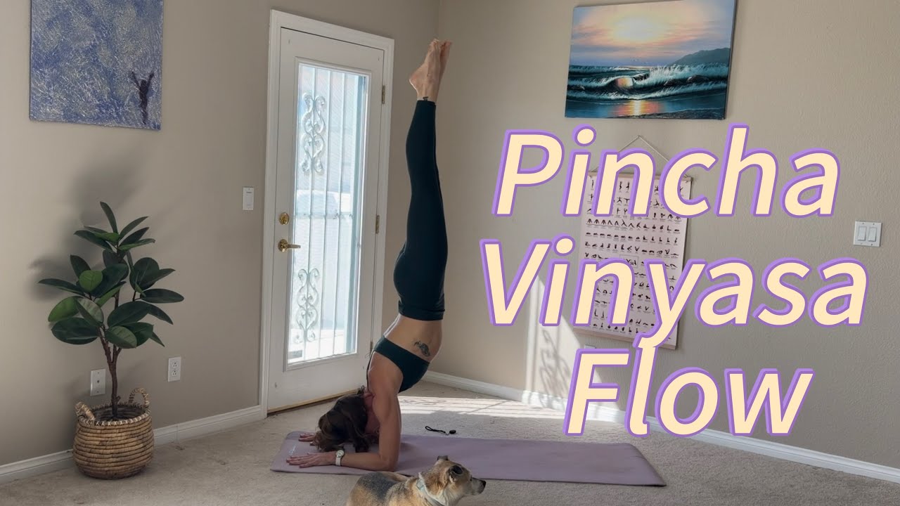 Vinyasa Yoga Flow- Pincha