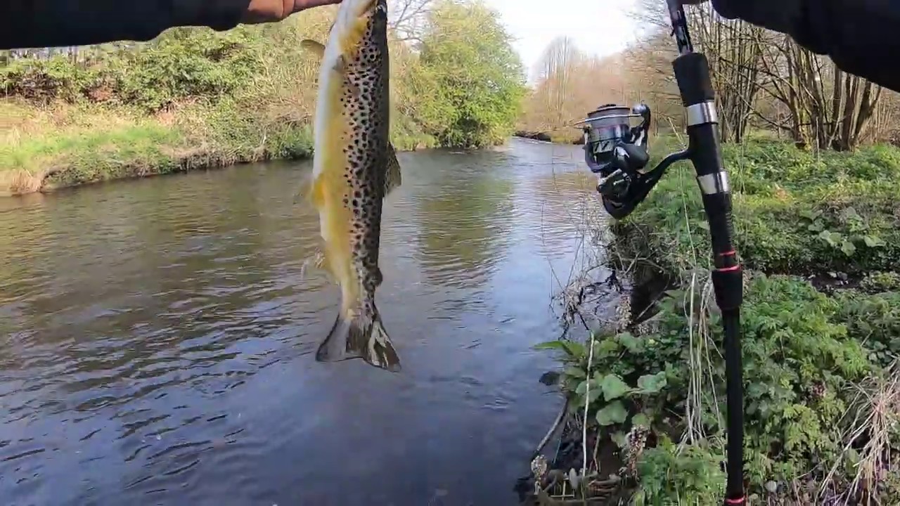 River Braid Spring Wild Trout