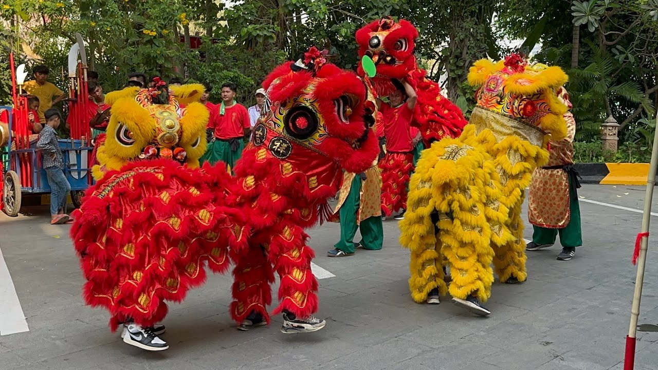 ម៉ុងសាយ - Lion Dance in Battambang 2026