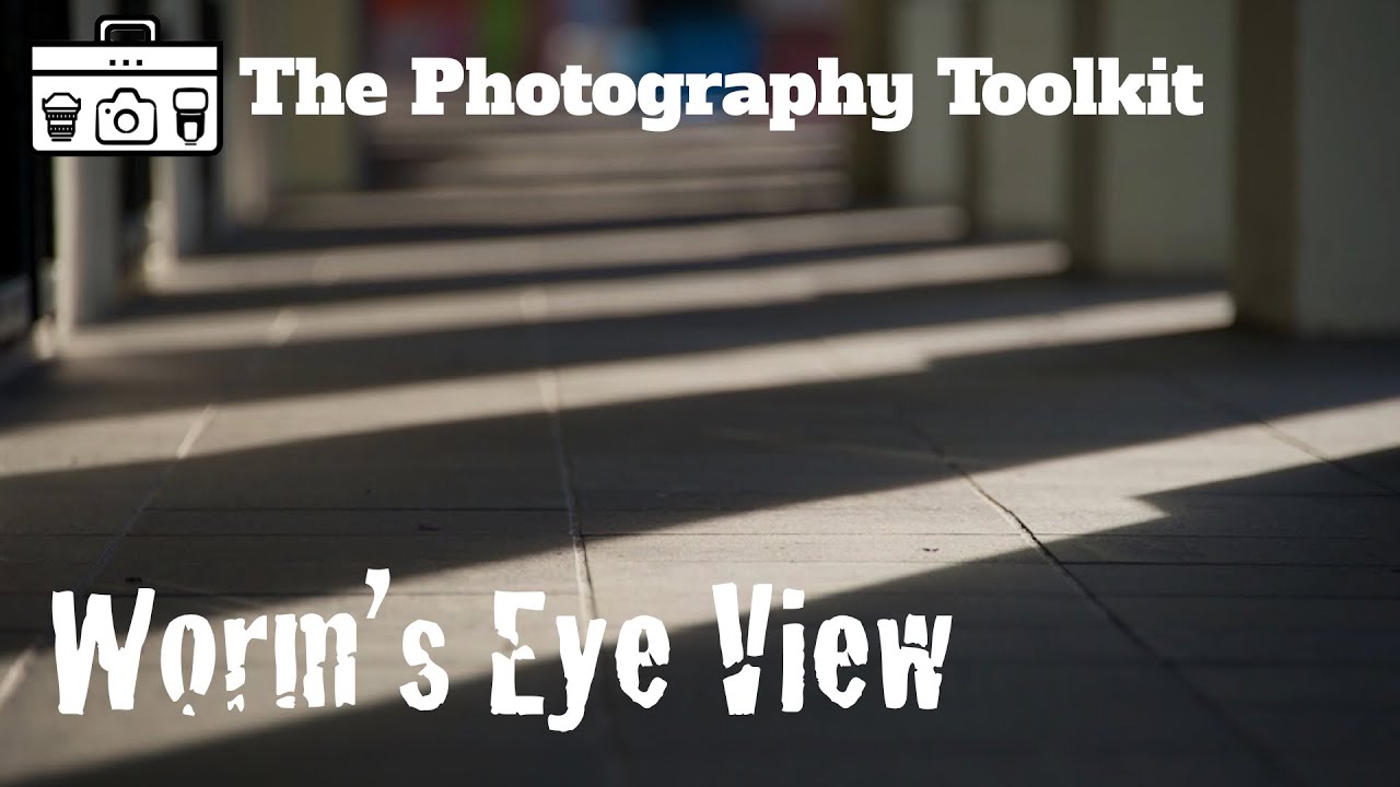 Perspective - Worm's Eye View - The Photography Toolkit