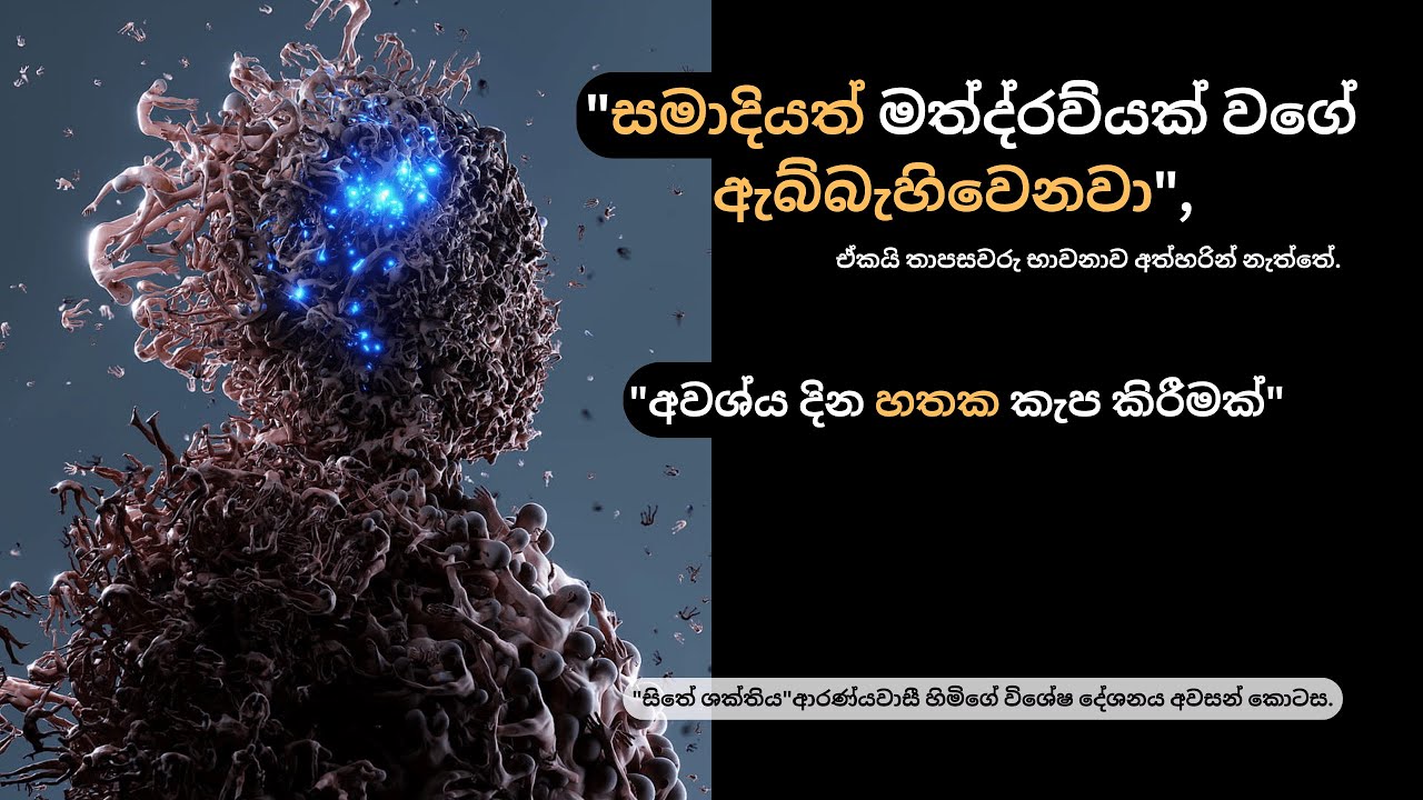 සමාදියත් මත්ද්‍රව්‍යක් වගේ ඇබ්බැහිවෙනවා.