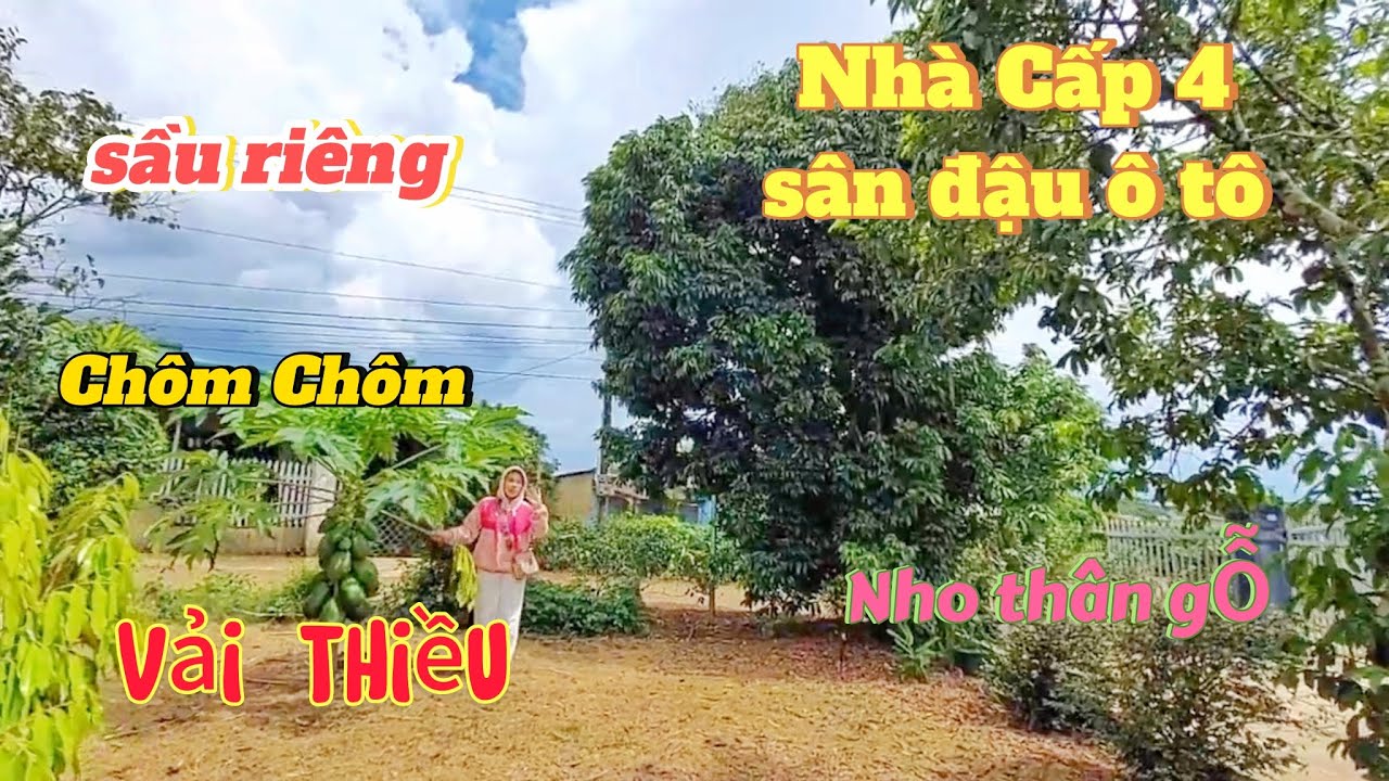 🌹(203) Bán Nhà Vườn Rộng, Cây Ăn Trái Phong Phú – Không Gian Sống Gần Gũi Thiên Nhiên