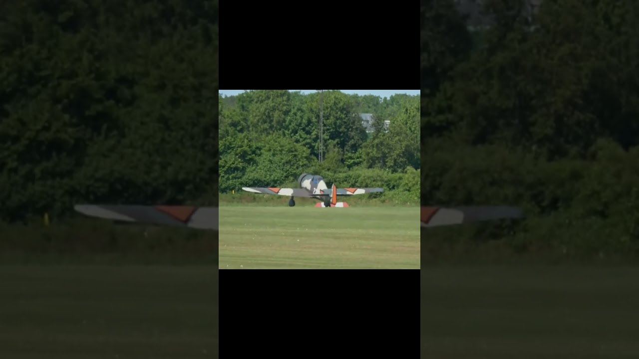 Fokker D.21 - Fokker D.XXI 